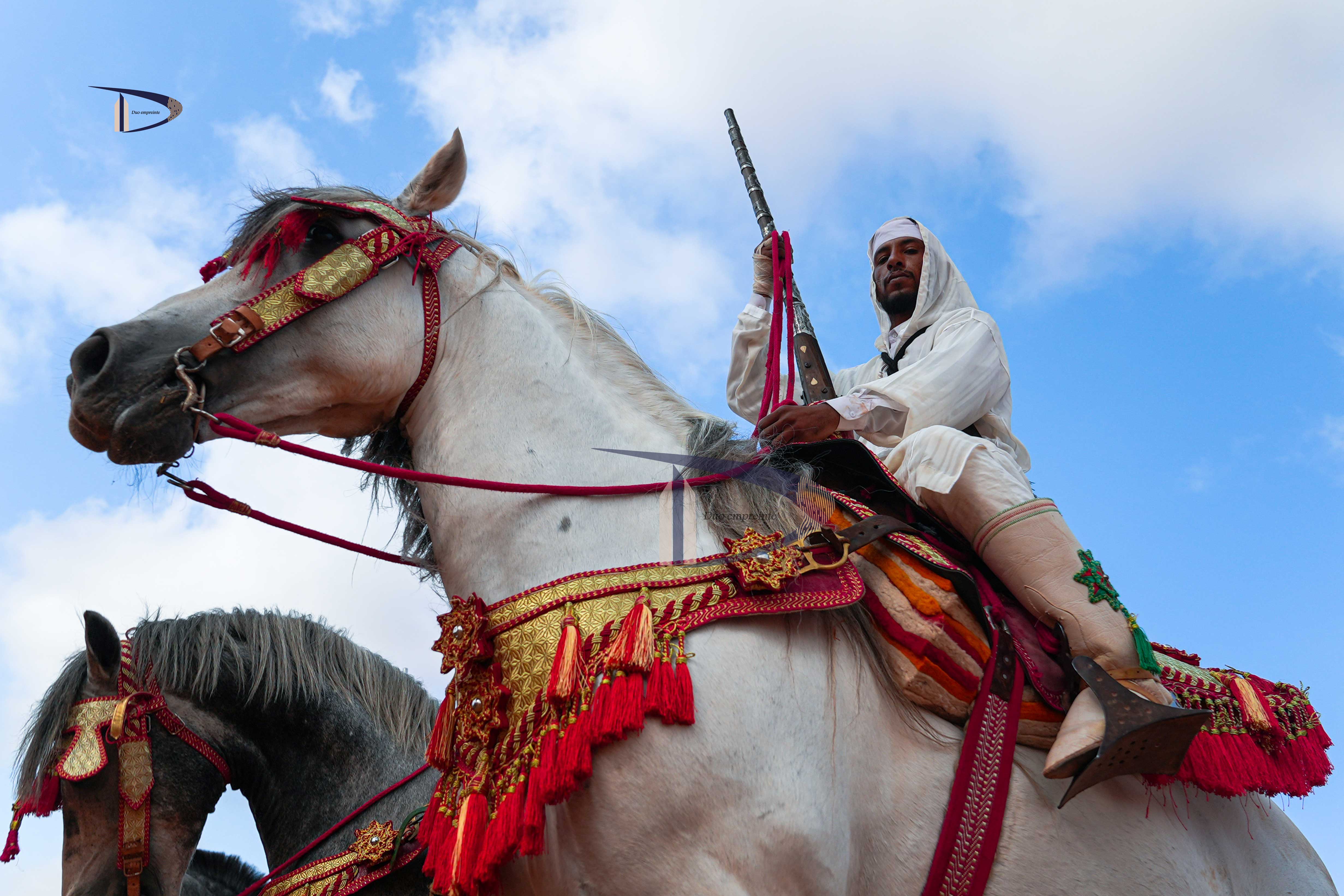 Agence du Sud Moussam TanTan – image 2